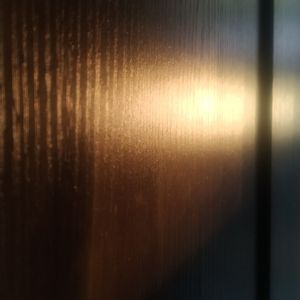 冰层下的共生之光