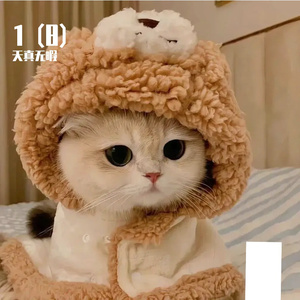 1 (12)