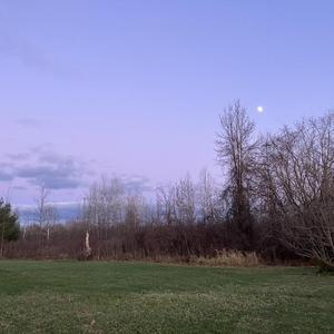 All That Shines So Bright