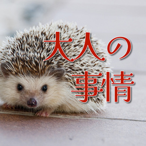 大人の事情