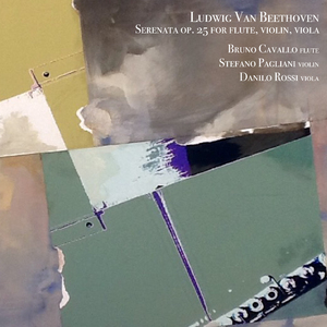 Serenata in D Major per flauto, violino, viola, Op. 25:I. Entrata. Allegro