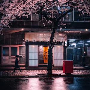 我不是你的第一选择 (降速版)