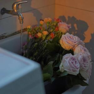 普通爱情故事（沙哑少女音）