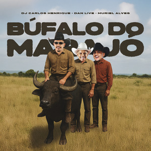 Bufalo do Marajo