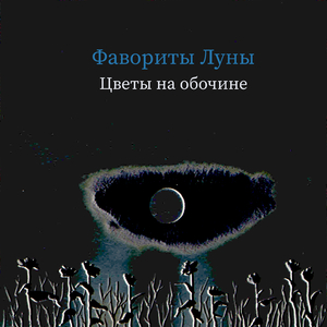 Напарники