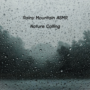 비내리는 산속 ASMR