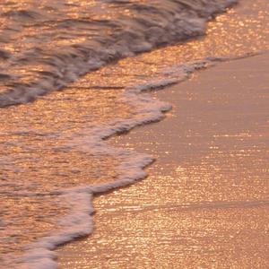 金玉良缘（Cover：李琦）