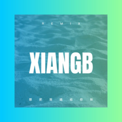 我没有原谅你 (Remix)