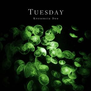 Tuesday