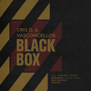 Black Box (Mau Maioli Remix)