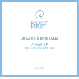 I have a Dream (Remix)