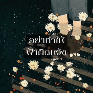 อย่าทำให้ฟ้าผิดหวัง