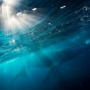 ㅤㅤㅤㅤㅤㅤㅤㅤ