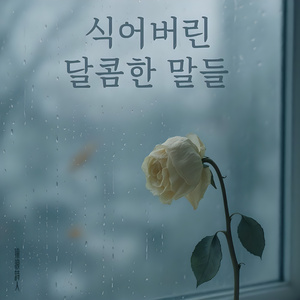 식어버린 달콤한 말들