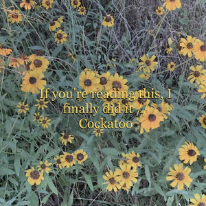 If You’re Reading This, I Finally Did It / Cockatoo