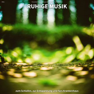 New Age Musik gegen Panikattacken