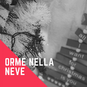 Christmas Eve In Fairyland