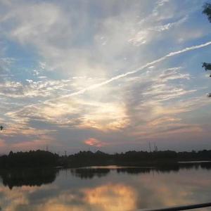 只是我在想（feat.黛米)