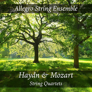 String Quartet No. 14 in G Major, K. 387, Op. 10 No. 1: II. Menuetto