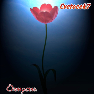 Отпусти (SWERODO Remix)