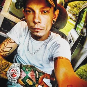 I'm an Animal (Freestyle)