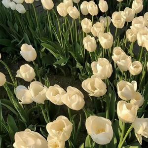 我还是适应不了新环境