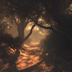 遗失的旋律(温柔版)