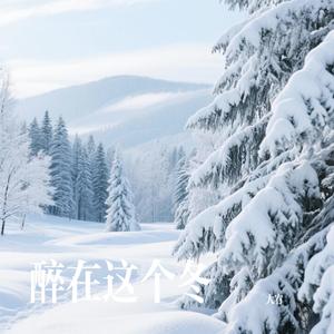 醉在这个冬