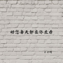 你的爱就像火苗 (DJ版)