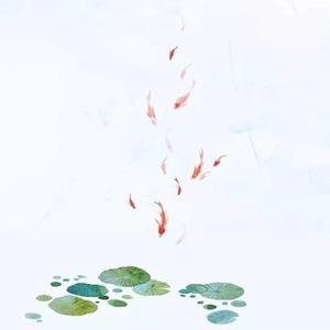 美卷入画（翻自 小可乐）