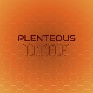 Plenteous Little