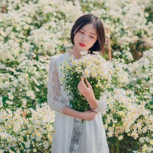 北风掠过旧城墙