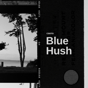 Blue Hush