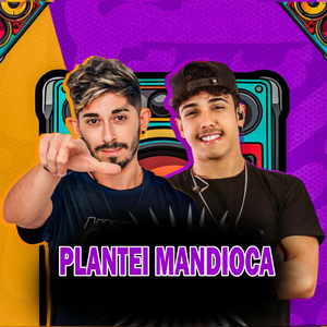 Plantei Mandioca