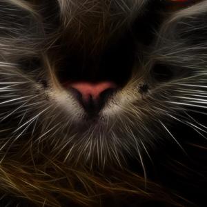 Now the Day Bleeds into Nightfall