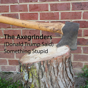 Donald Trump Said Something Stupid