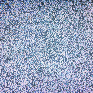 RELEASE THE PRISONERS