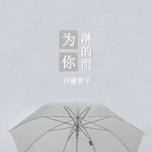 为你淋的雨