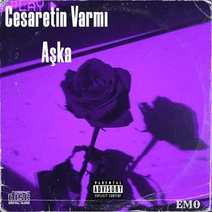 Cesaretin Varmı Aşka