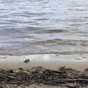 《哭砂》赵鑫（翻自 张清芳）（翻自 张清芳）