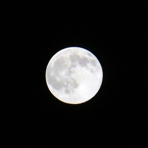 月亮不会奔你而来（拉跨填词rap版）