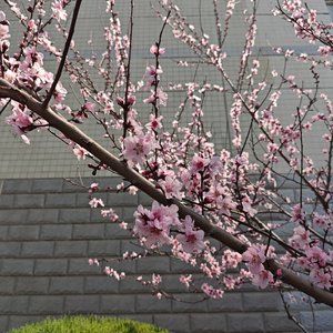 我也曾踏上旅程