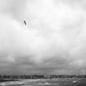 Fly (feat. Maharjan Ritesh)