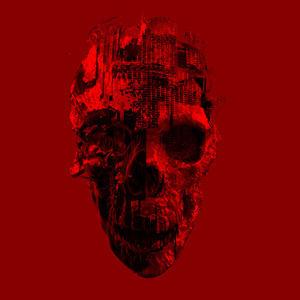 S. K. E. L. E. T. O. N