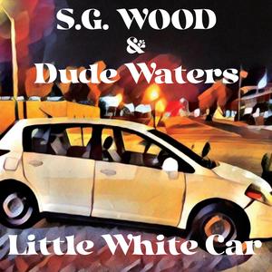 Little White Car