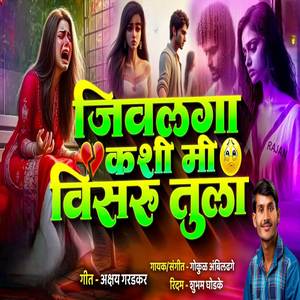 Jivlaga Kashi Mi Visru Tula