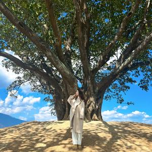 够爱（cover 曾沛慈）