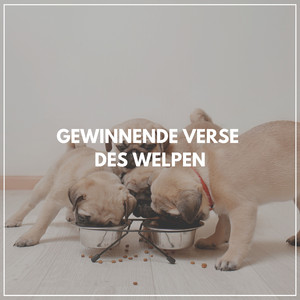 Musik für einen glücklichen Hund