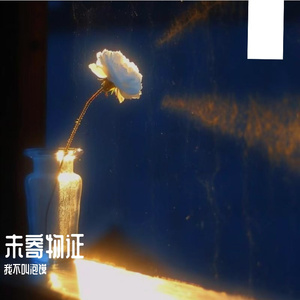 夏末未寄出的信