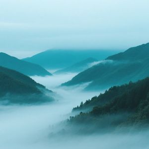 雾绕青山间